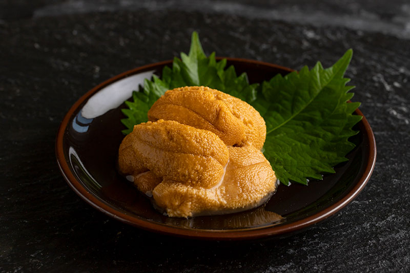 返礼品「魚介」
