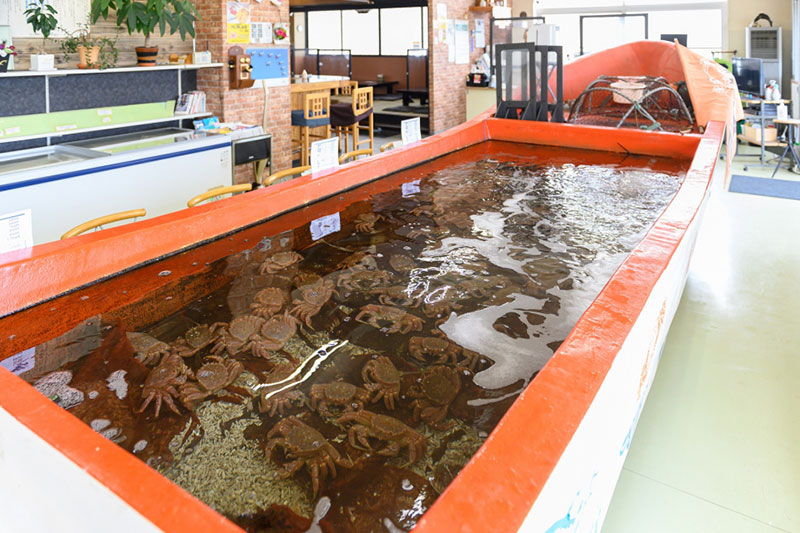 カネフク浜形水産2
